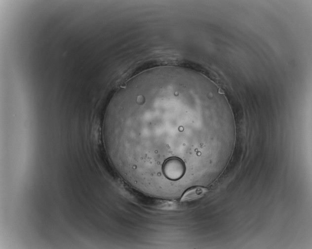 X0000116030083200911271144