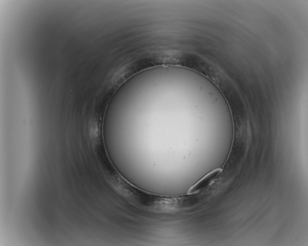 X0000116030084200911271144