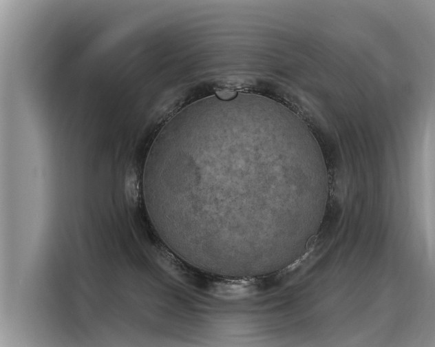 X0000116030086200911271144