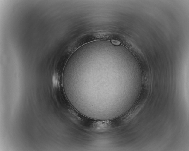 X0000116030089200911271144