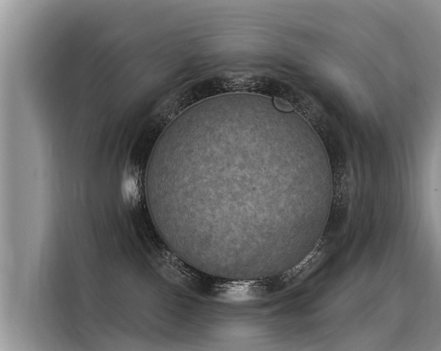 X0000116030090200911271144