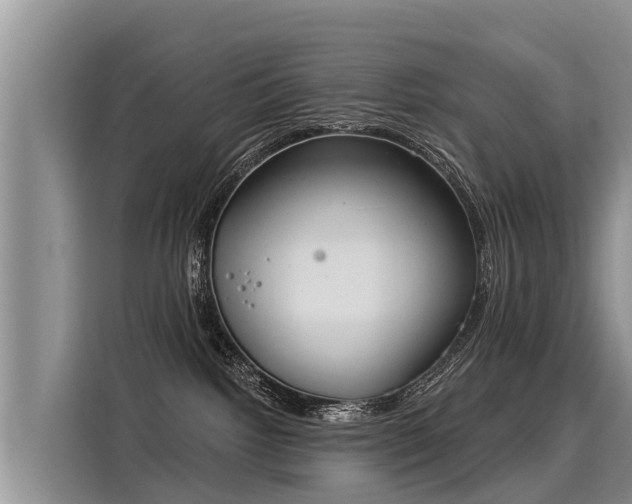 X0000116030092200911271144