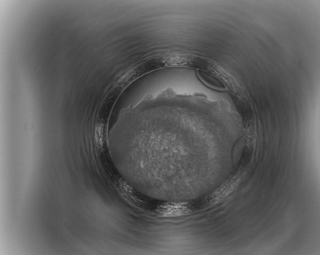 X0000116030093200911271144