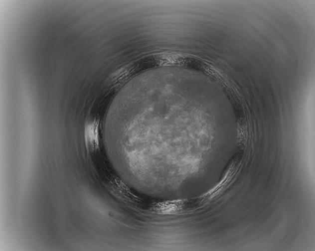 X0000116030094200911271144