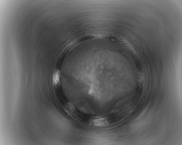 X0000116030095200911271144