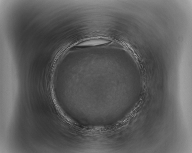 X0000116030097200911271144