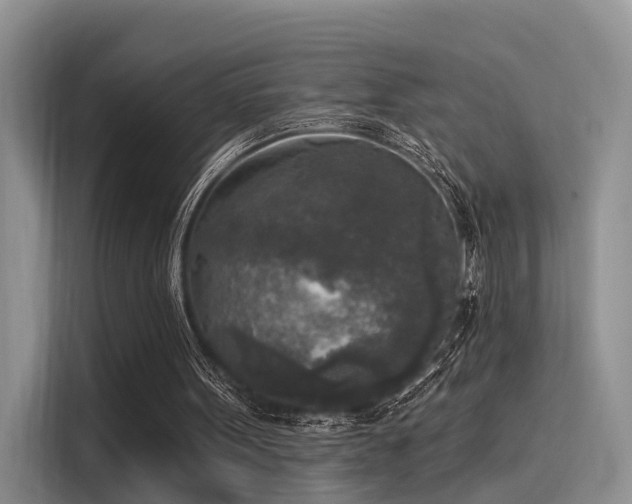 X0000116030099200911271144