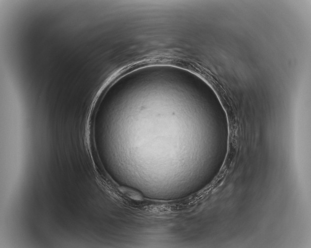 X0000116030100200911271144