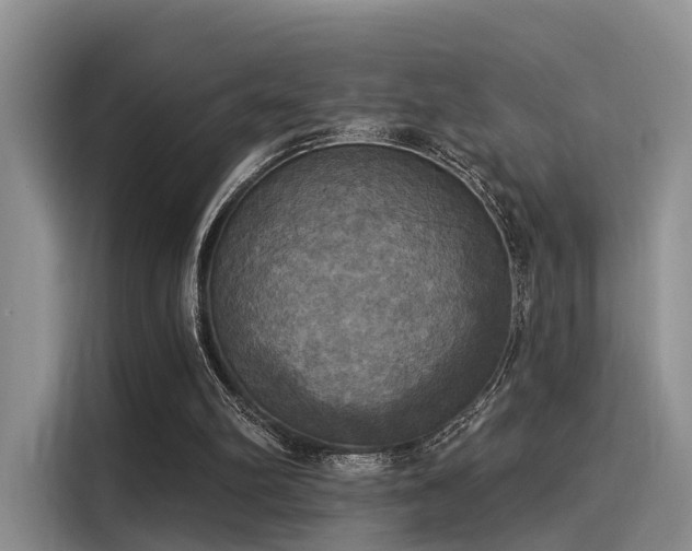 X0000116030102200911271144