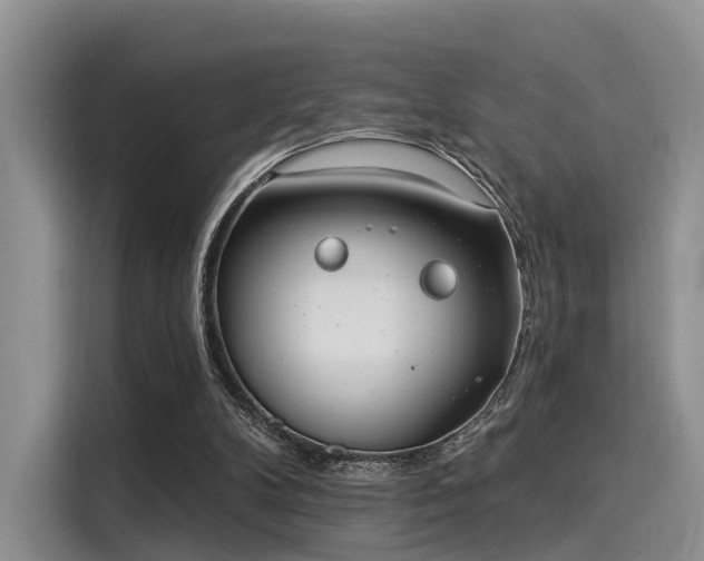 X0000116030104200911271144