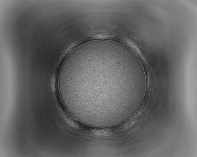 X0000116030106200911271144