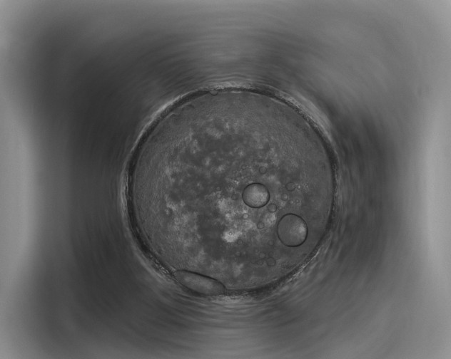 X0000116030107200911271144