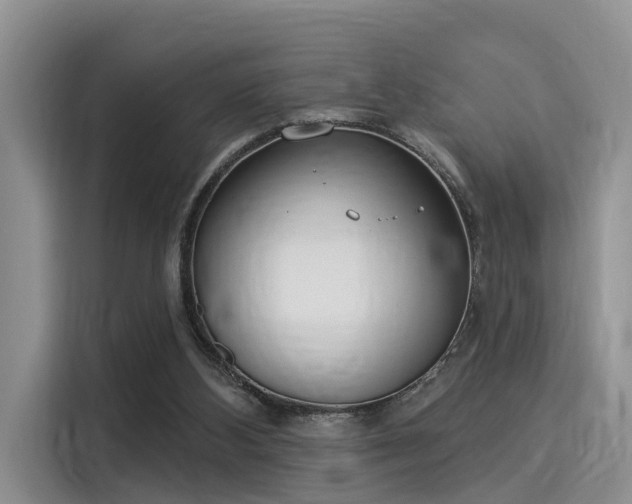 X0000116030108200911271144