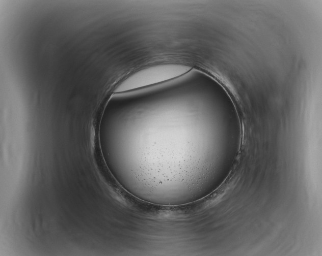 X0000116030109200911271144