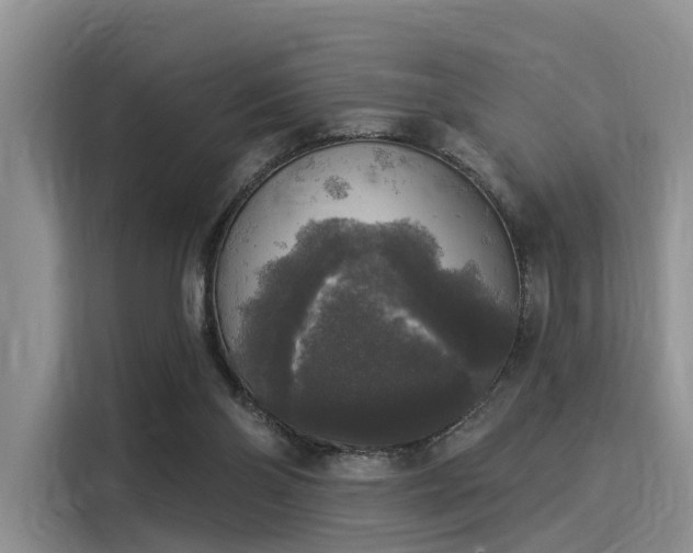 X0000116030110200911271144