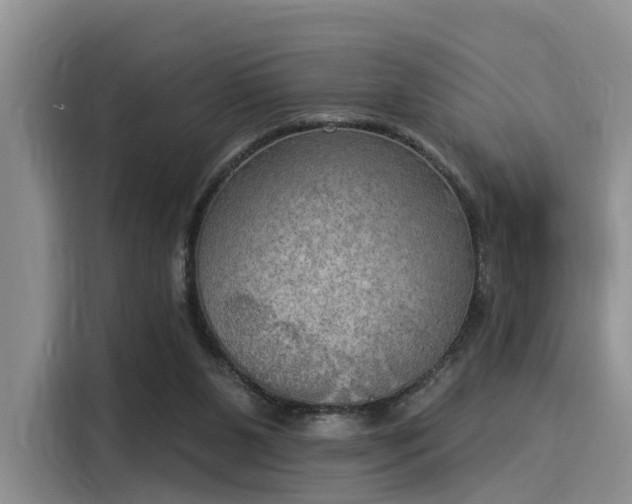 X0000116030111200911271144