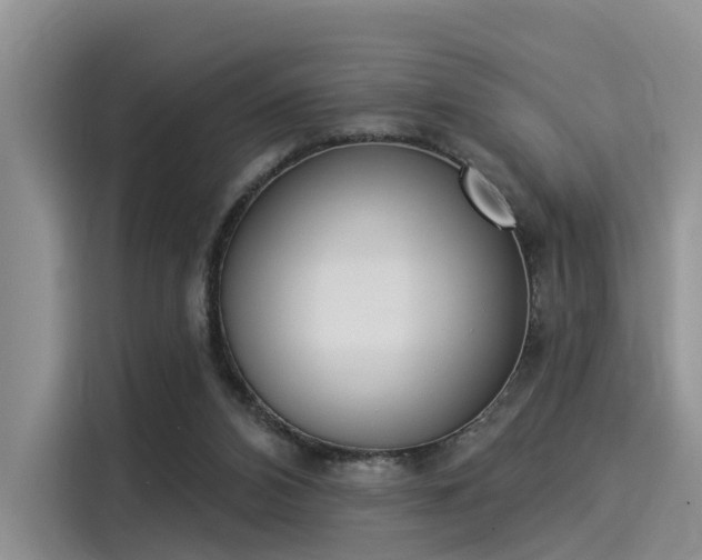 X0000116030112200911271144