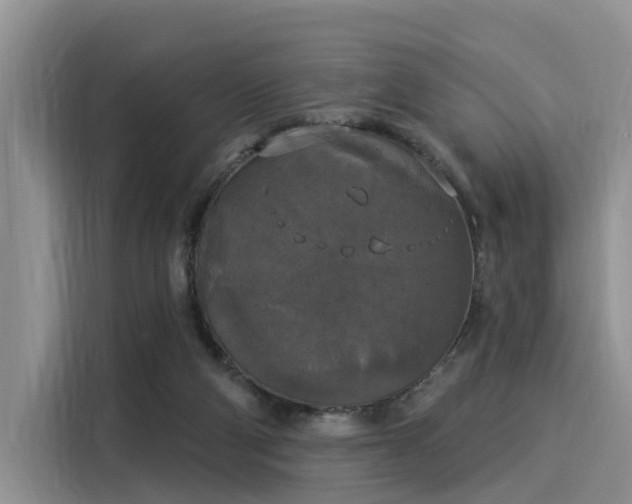 X0000116030114200911271144