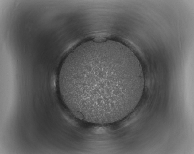 X0000116030115200911271144