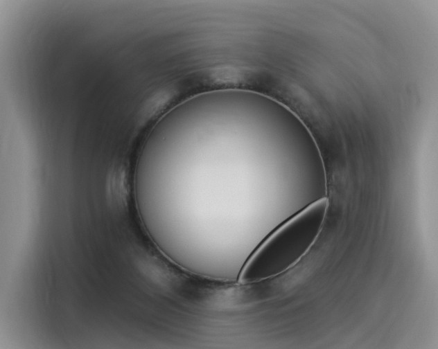 X0000116030116200911271144