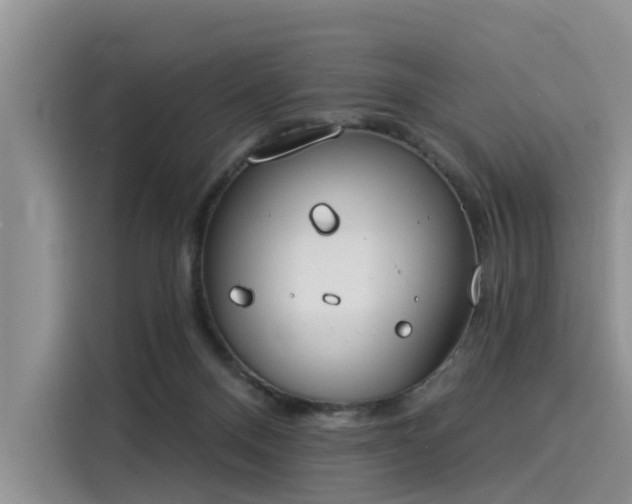 X0000116030120200911271144