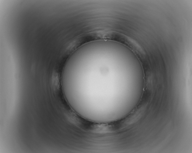 X0000116030121200911271143