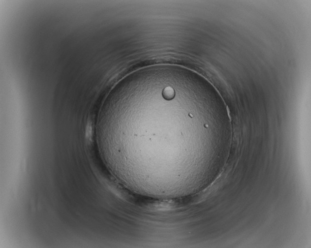 X0000116030124200911271143