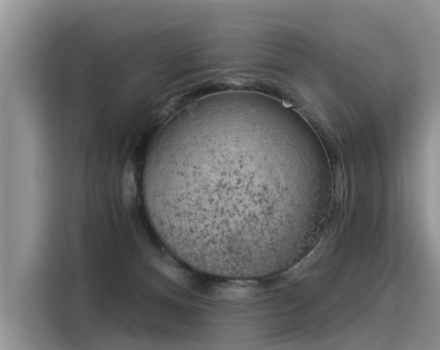 X0000116030128200911271143