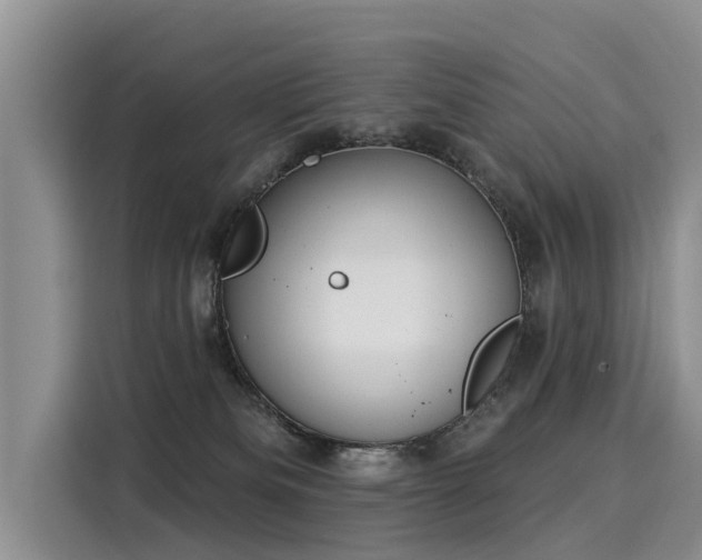 X0000116030133200911271143