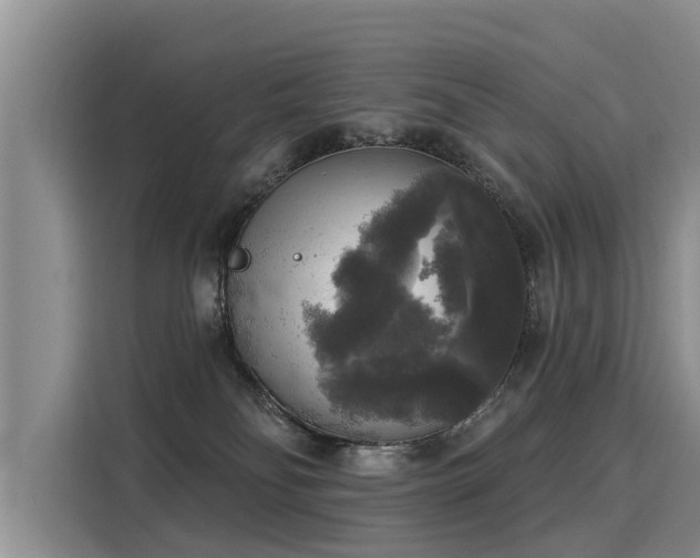 X0000116030134200911271143