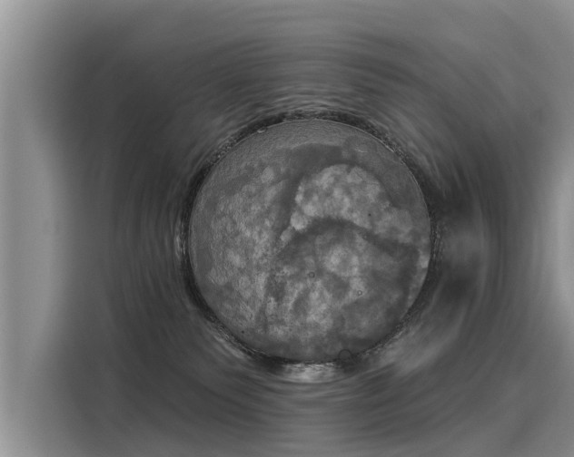 X0000116030135200911271143