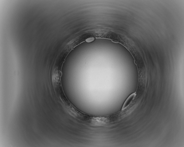 X0000116030137200911271143