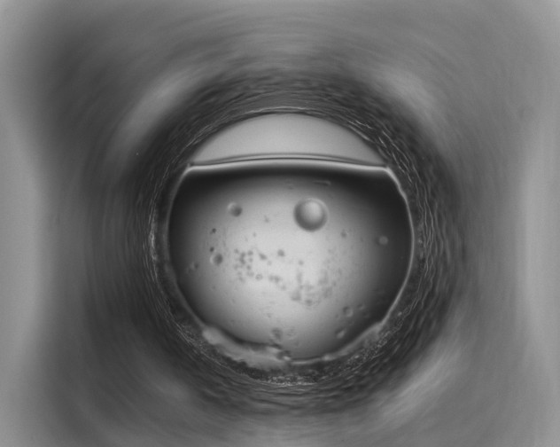 X0000116030146200911271143