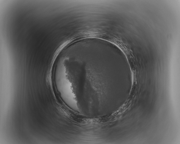 X0000116030147200911271143