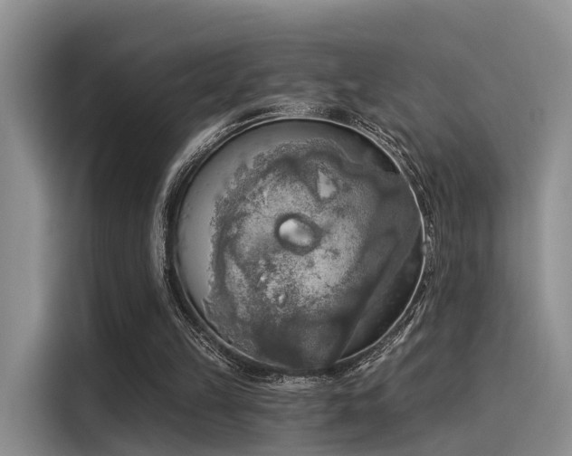 X0000116030149200911271143