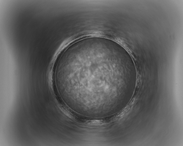 X0000116030151200911271143