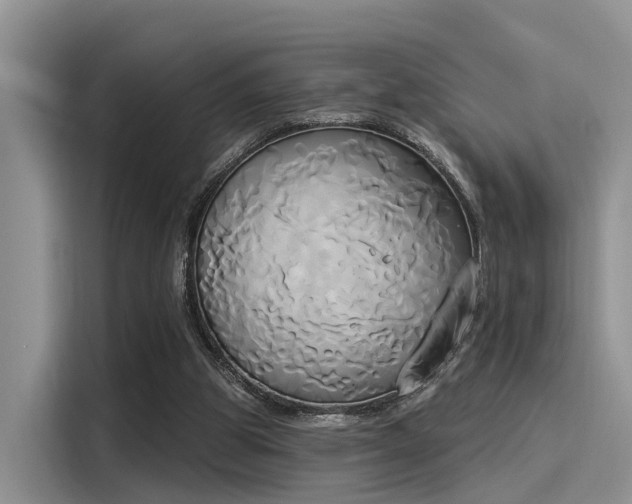 X0000116030153200911271143