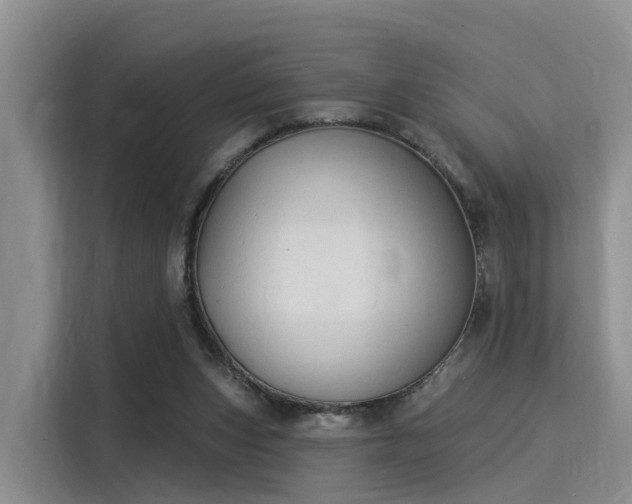 X0000116030159200911271143