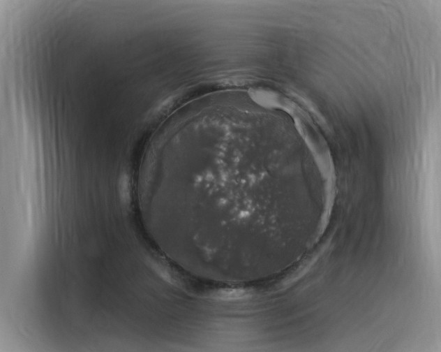 X0000116030161200911271143