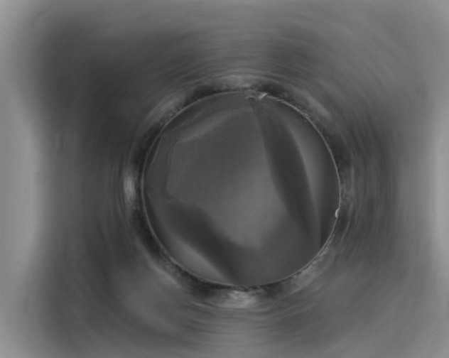 X0000116030166200911271143