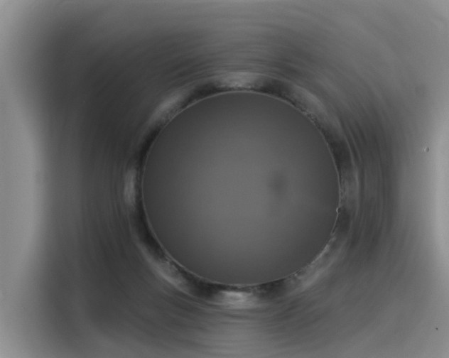 X0000116030167200911271143