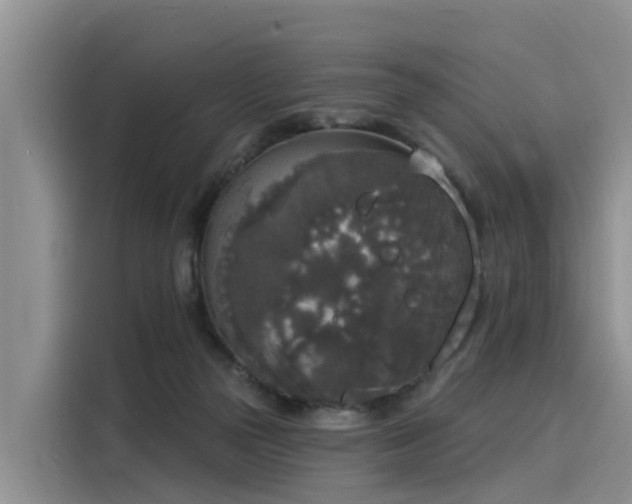 X0000116030169200911271143