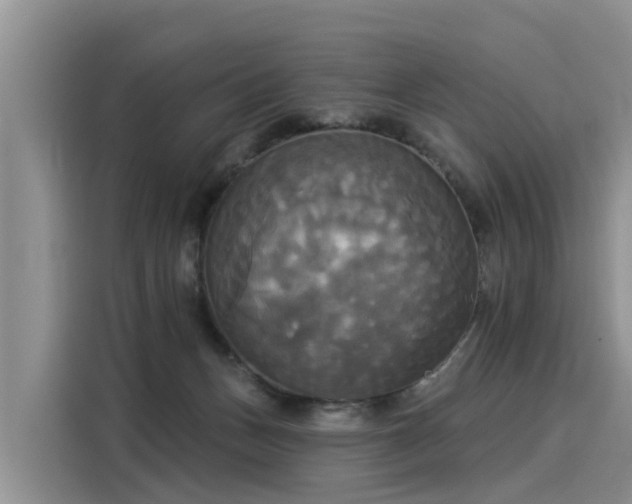 X0000116030175200911271143