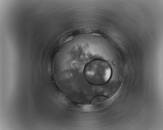 X0000116030178200911271143