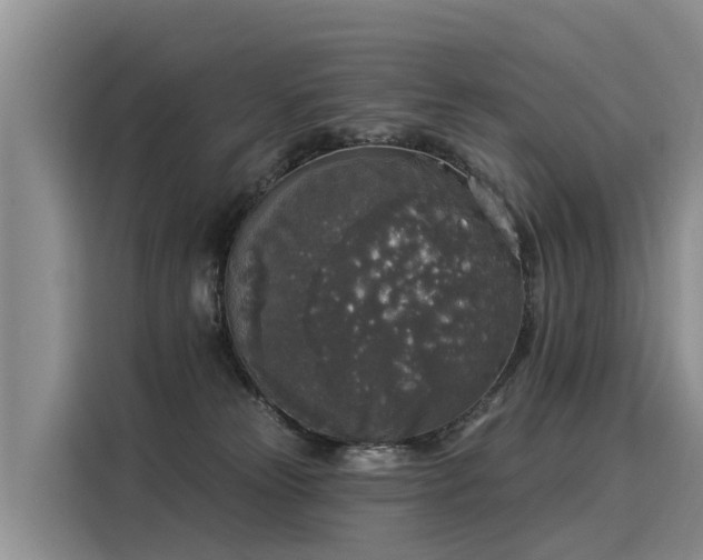 X0000116030181200911271143