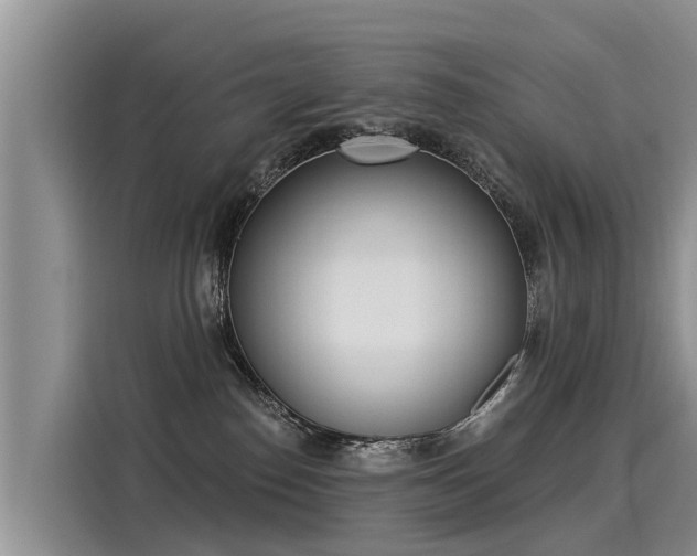 X0000116030186200911271143