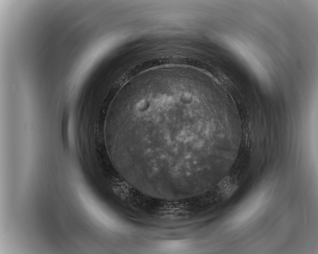 X0000116030189200911271143