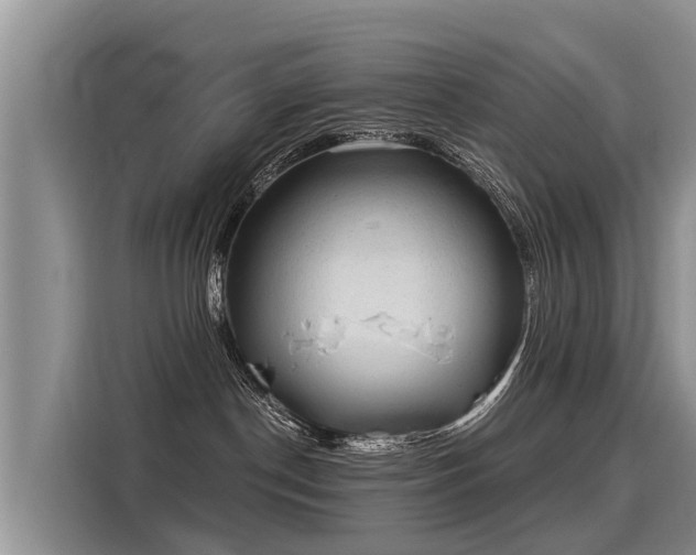 X0000116030190200911271143