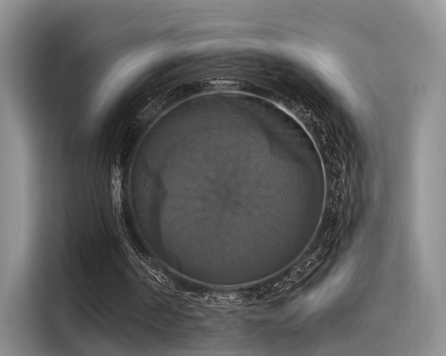 X0000116030194200911271143