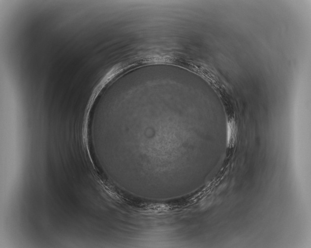 X0000116030195200911271143